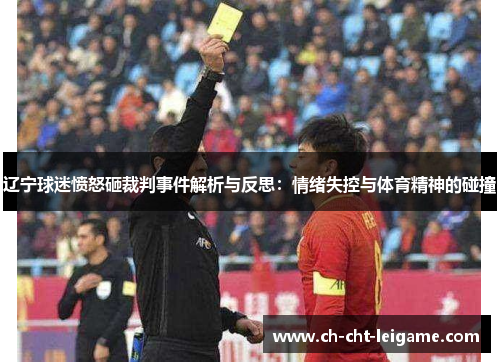 辽宁球迷愤怒砸裁判事件解析与反思：情绪失控与体育精神的碰撞