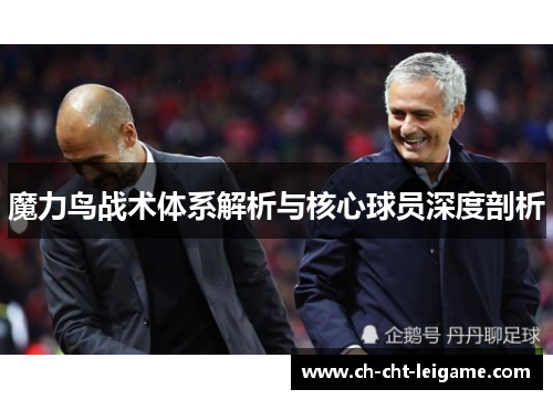 魔力鸟战术体系解析与核心球员深度剖析